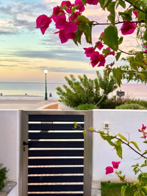 Fantasea Beachfront Villa